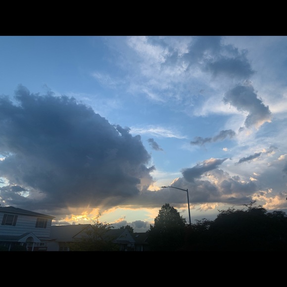 Meet the posher 🌺 - Picture 3 of 4